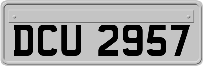 DCU2957