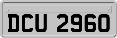 DCU2960