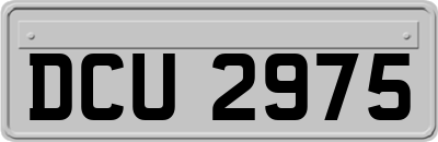 DCU2975