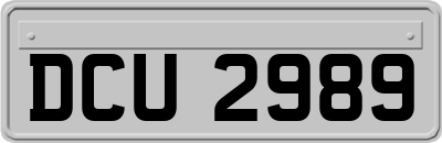 DCU2989