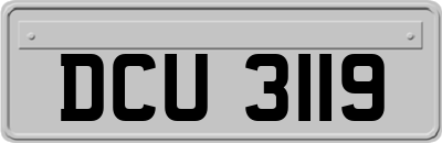 DCU3119