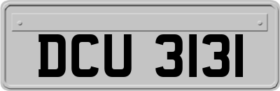 DCU3131