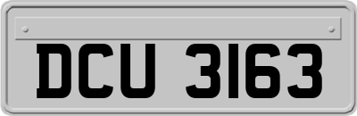 DCU3163