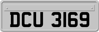 DCU3169