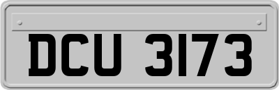 DCU3173