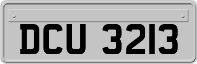 DCU3213