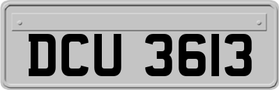 DCU3613