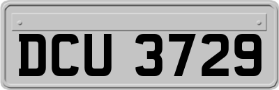 DCU3729