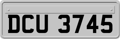 DCU3745