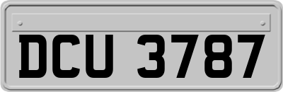 DCU3787