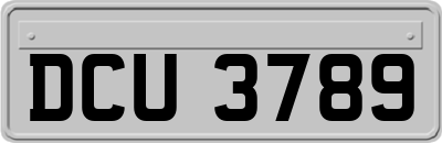 DCU3789