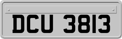 DCU3813