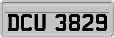DCU3829