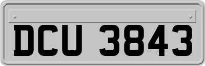 DCU3843