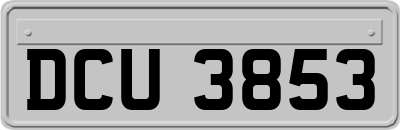 DCU3853