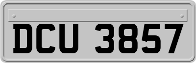 DCU3857