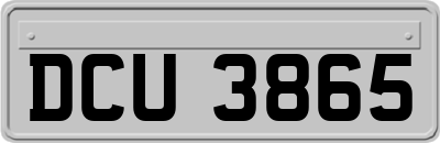 DCU3865