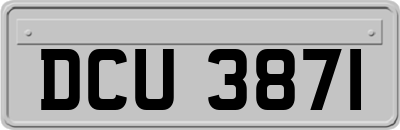 DCU3871
