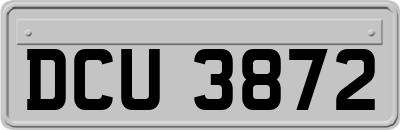 DCU3872