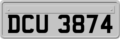 DCU3874