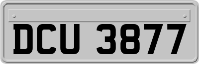 DCU3877