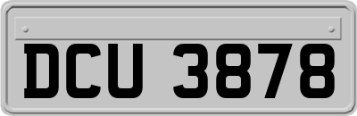 DCU3878