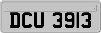 DCU3913