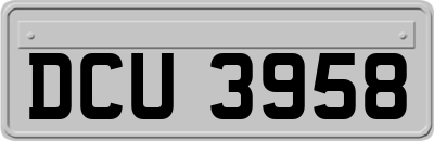 DCU3958