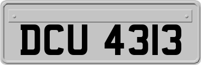 DCU4313