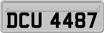 DCU4487