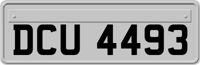 DCU4493