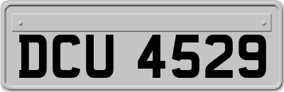 DCU4529