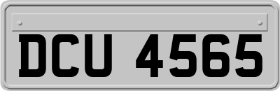 DCU4565