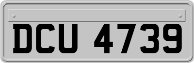 DCU4739