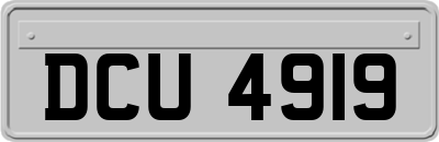 DCU4919