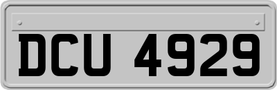DCU4929