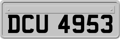 DCU4953