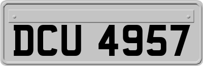 DCU4957