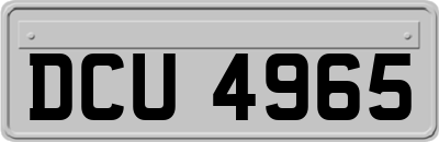 DCU4965