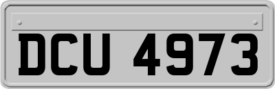 DCU4973