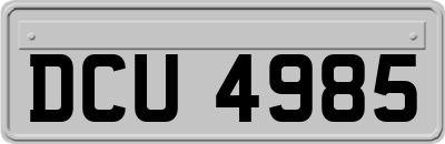 DCU4985