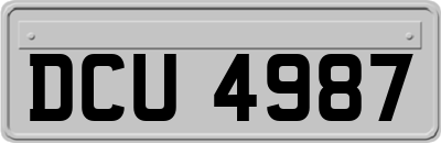 DCU4987