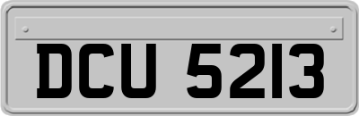 DCU5213