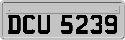 DCU5239