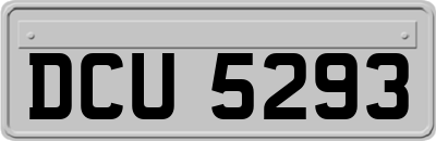 DCU5293