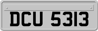 DCU5313