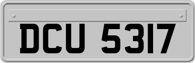 DCU5317