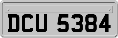 DCU5384