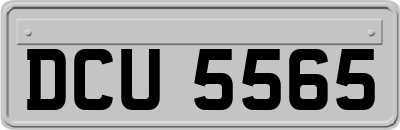 DCU5565