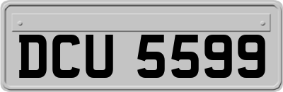 DCU5599